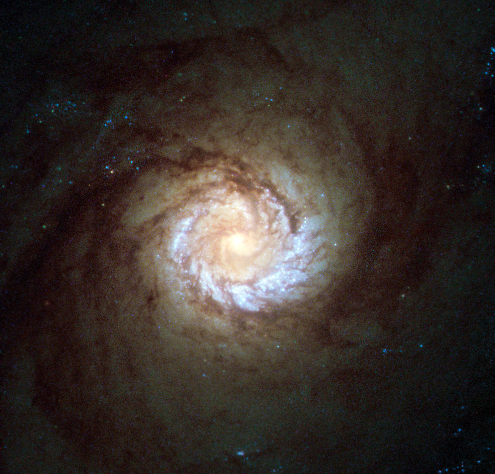 m61,spiral galaxy in virgo,ngc 4303