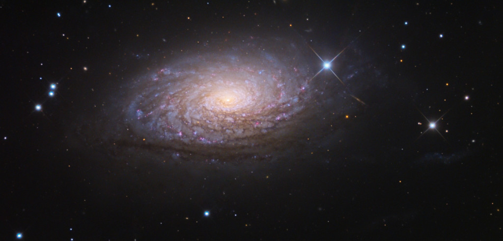 sunflower galaxy,m63