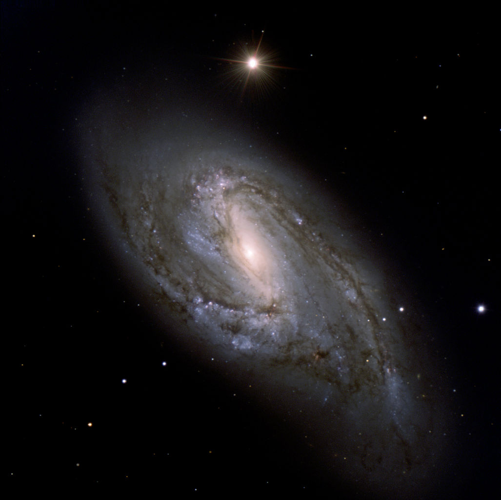 m66, ngc 3627