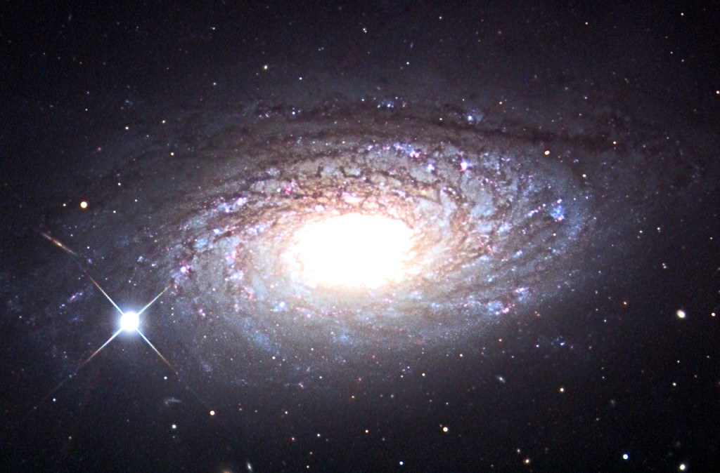 messier 63,flocculent spiral galaxy
