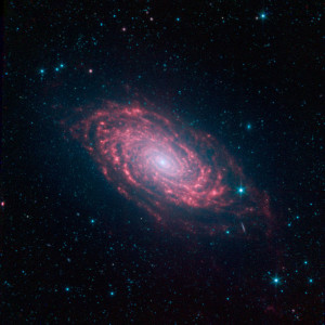 Why amateur contributions matter in astronomy