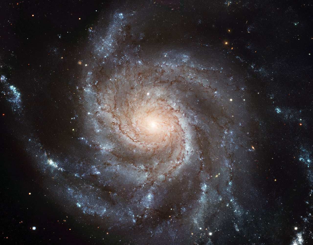 pinwheel galaxy amateur image