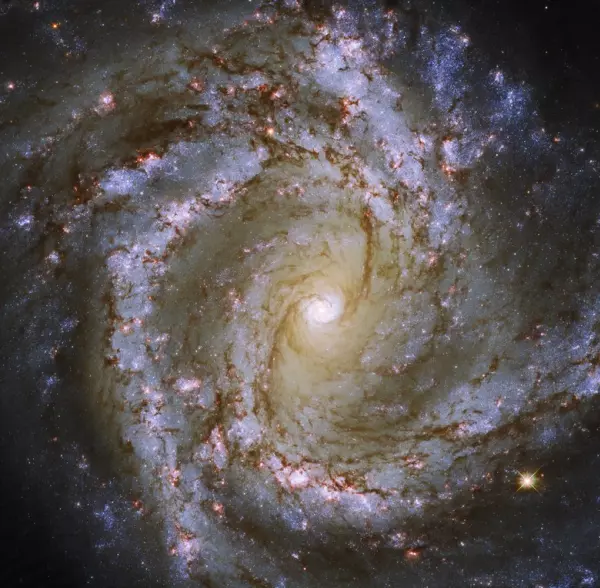 m61 galaxy