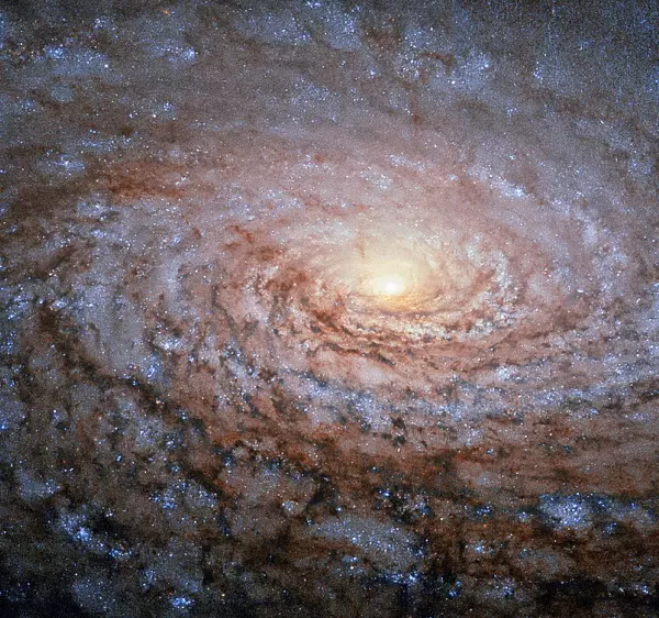 m63 galaxy,messier 63,sunflower galaxy