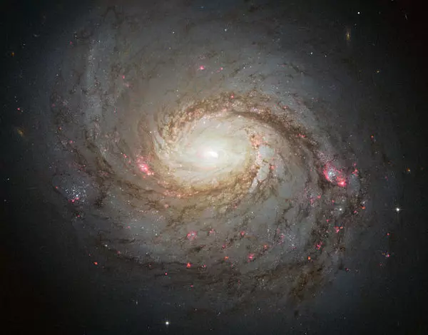 m77 galaxy,cetus A
